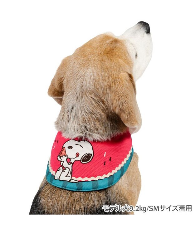 PET PARADISE スヌーピー クールバンダナ 《スイカ柄》 中型犬 大型犬 レッド
