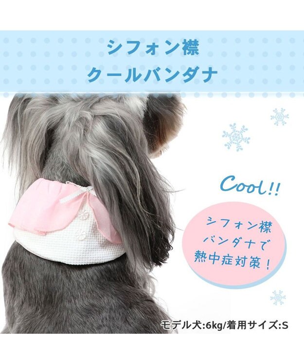 PET PARADISE クールネック バンダナ 《シフォン襟／しろくま／ボタニカル》 保冷剤付き 【小型犬】 シフォン襟