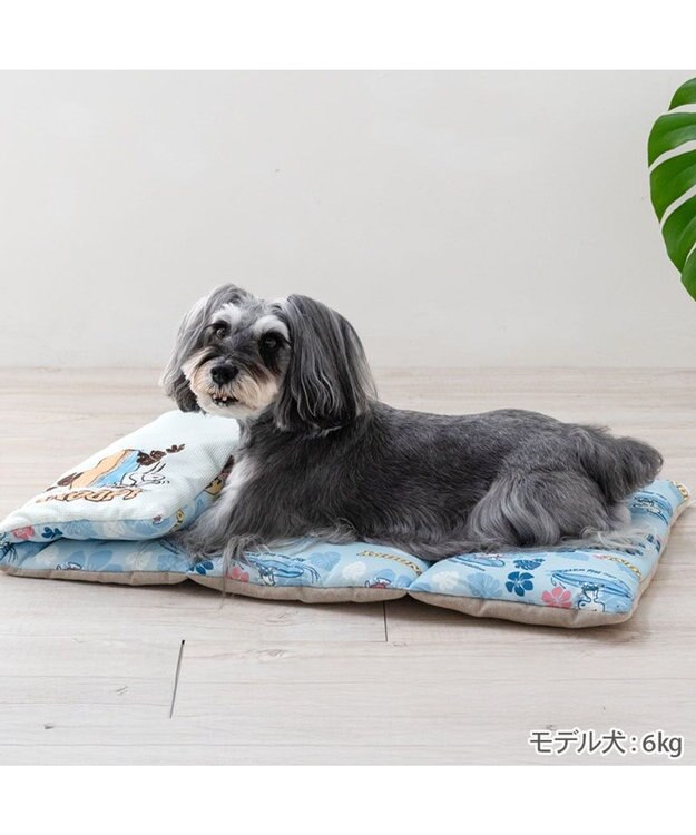PET PARADISE スヌーピー クール ロールマット 《サーフ柄》 Ｍ ブルー系