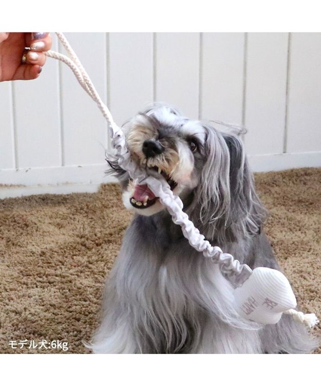 PET PARADISE ペットパラダイス 引っ張り トイ 《雲/星》 雲