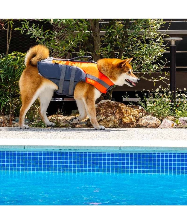 PET PARADISE ペットパラダイス ライフベスト【ＳＭ～Ｍ】 《オレンジ》 オレンジ