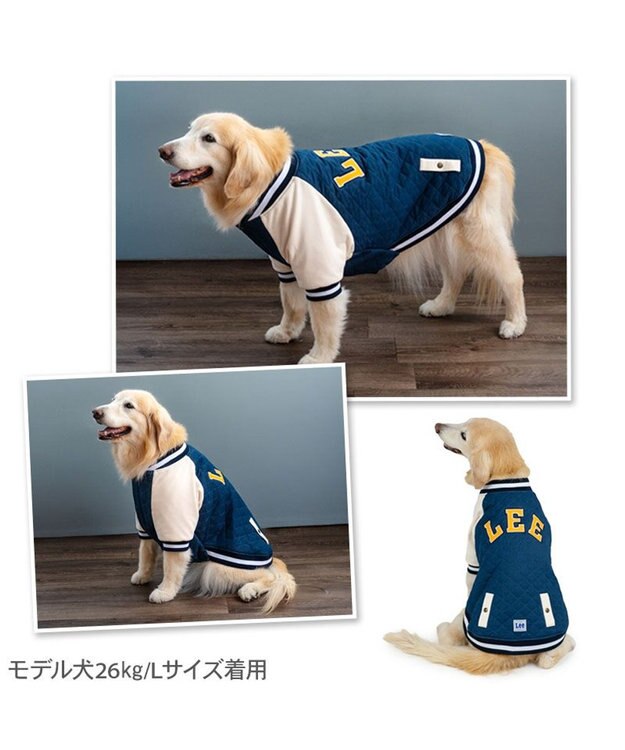 PET PARADISE Lee キルト スタジャン 中型犬 大型犬 ブルー
