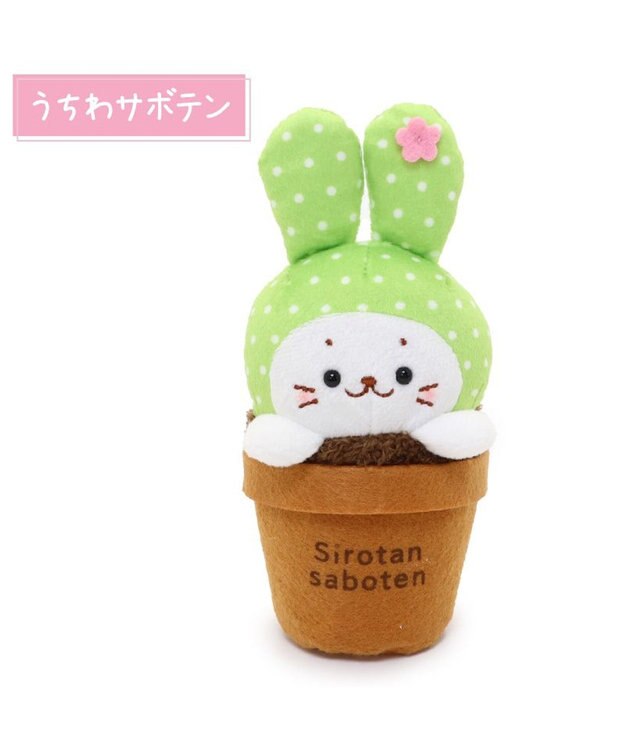Mother garden しろたん サボテン マスコット 《うちわサボテン》 うちわサボテン