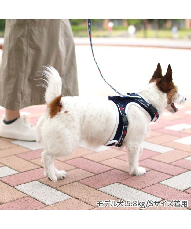 PET PARADISE J.PRESS ポケット付きハーネス ３Ｓ 小型犬 紺(ネイビー・インディゴ)