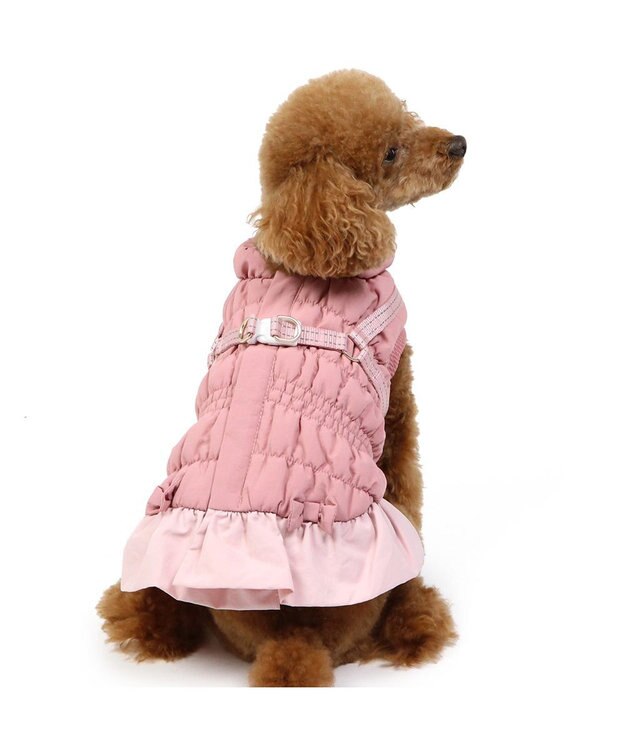 PET PARADISE ペットパラダイス アウター ハーネス ベスト 《フリル》 小型犬 フリル