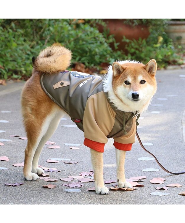 新品未使用✨️スヌーピー✨️ペットパラダイス 犬たんぽ 遠赤外線 スヌーピー 遠赤外線 犬たんぽ 《ブラザー柄》 40×48cm / PET