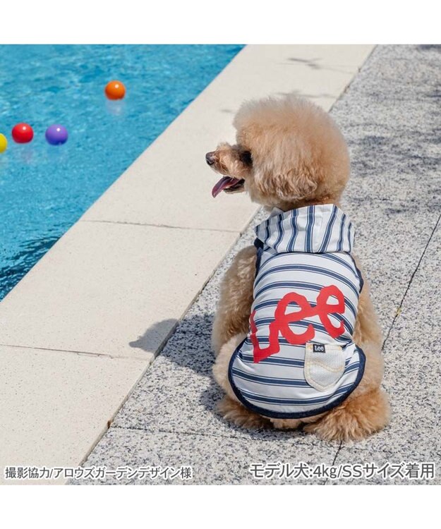 PET PARADISE Lee タッチワンクール プラス ネオタンクトップ 小型犬 ホワイト×ネイビー