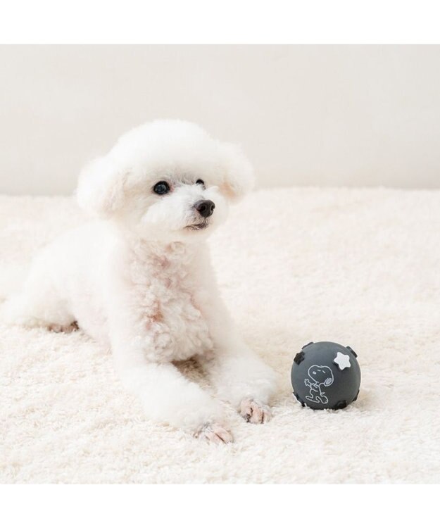 PET PARADISE スヌーピー ラテクスボール 《スヌーピー》 ブラック