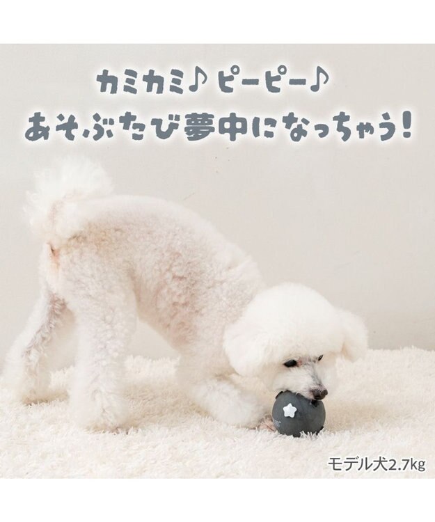 PET PARADISE スヌーピー ラテクスボール 《スヌーピー》 ブラック