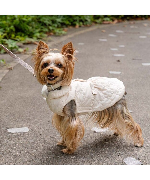 PET PARADISE ペットパラダイス 花柄キルト エアベスト  超小型犬 小型犬 ベージュ