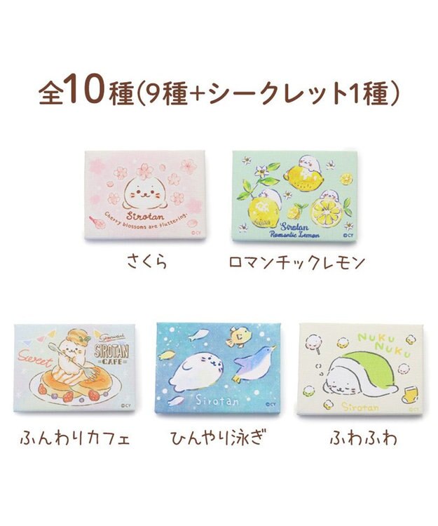Mother garden しろたん ミニキャンバス コレクション第二弾 10個全部セット（シークレット1種含む） 10個全部セット