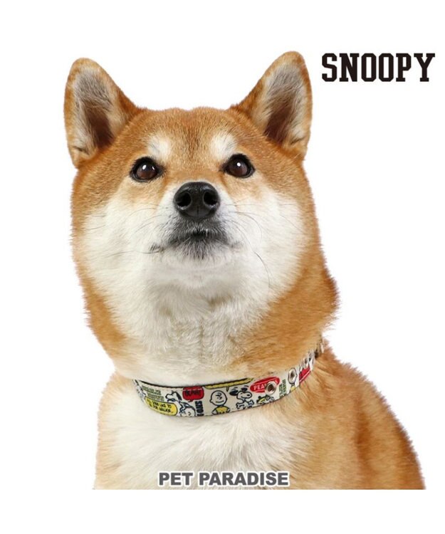 PET PARADISE スヌーピー 首輪  《ペア柄》 Ｍ レッド