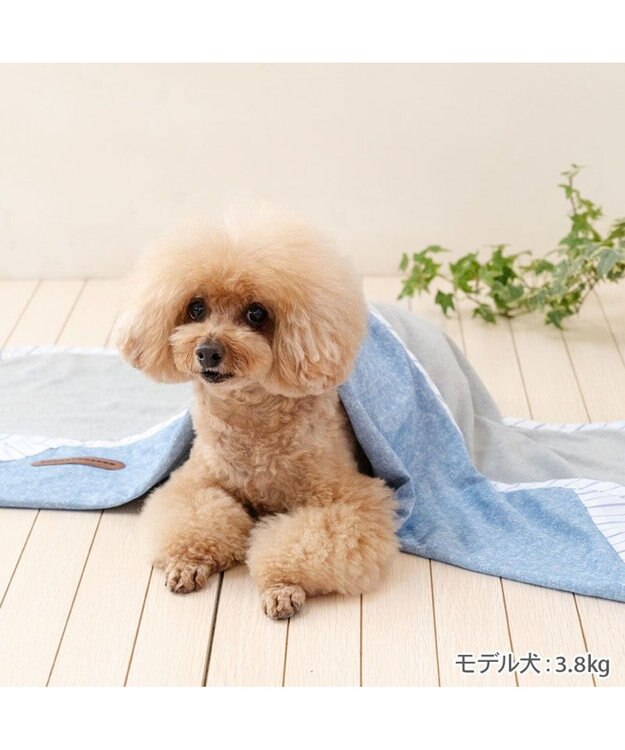 PET PARADISE ペットパラダイス クールケット 《シャンブレー柄》 小型犬 ブルー