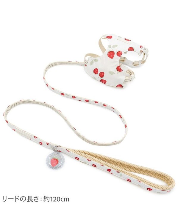 PET PARADISE ペットパラダイス スリム ハーネス＆リード 《苺総柄》 ＳＭ 中型犬 ホワイト