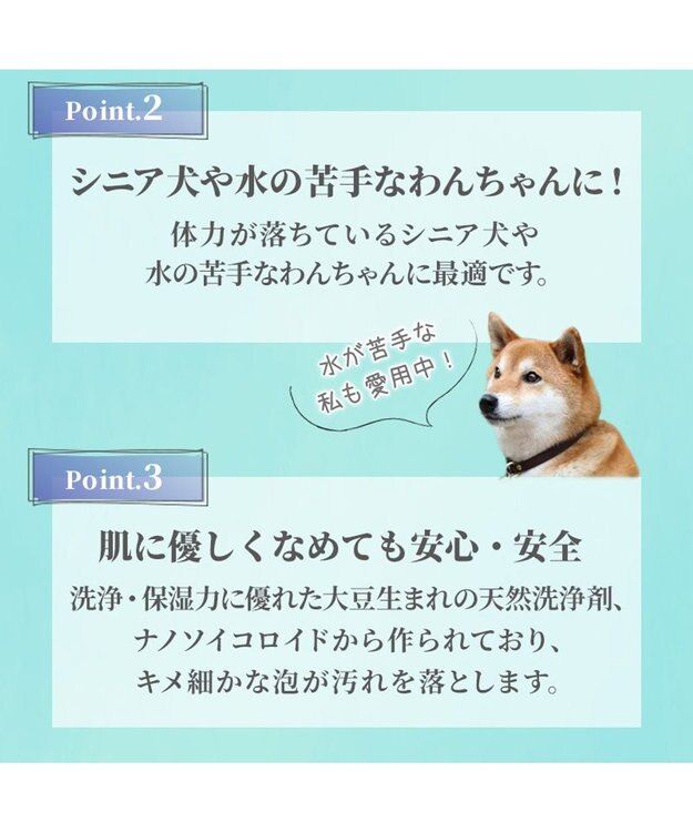 PET PARADISE ペットパラダイス ドライ泡シャンプー300ｍＬ -