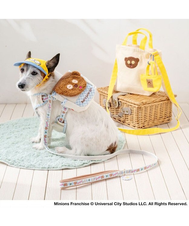 PET PARADISE ミニオン ティム お花柄 リード ４Ｓ～３Ｓ ブルー