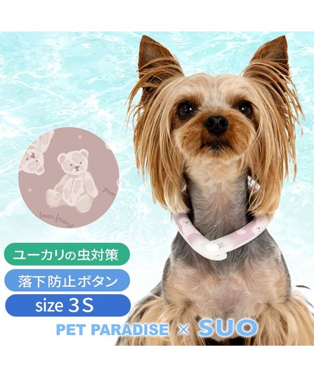PET PARADISE ペットパラダイス 28℃クールリング 《くま》 ３Ｓ 小型犬 くま柄