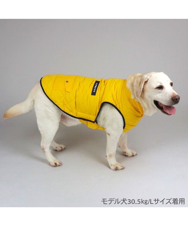 PET PARADISE J.PRESS ダイヤＳＴ 綿入ベスト 《イエロー》 中型犬 大型犬 イエロー