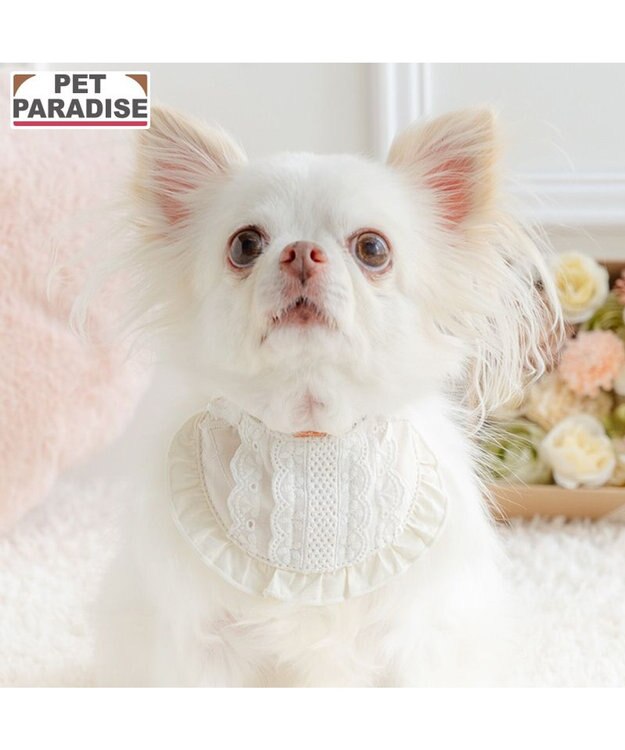 PET PARADISE ペットパラダイス キルティング レース スタイ 小型犬 ホワイト
