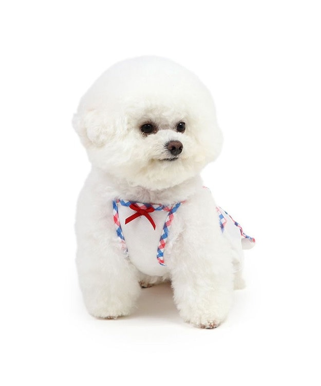 PET PARADISE リサとガスパール エコメイド ワンピース 《チェック》 小型犬 チェック