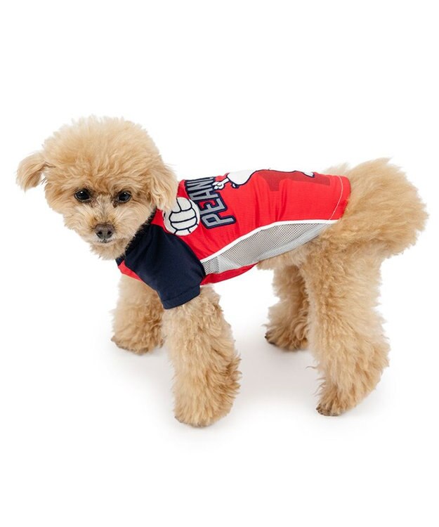 PET PARADISE スヌーピー バレーボール Tシャツ 接触冷感《レッド》 小型犬 レッド