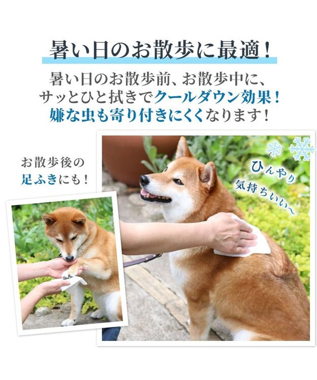 ペットパラダイス クール ボディタオル 20枚入り / PET PARADISE