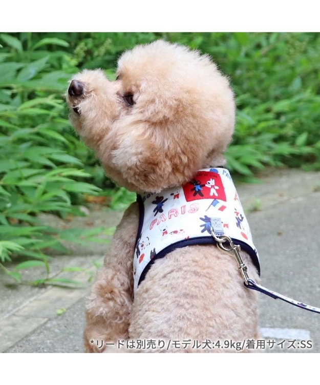 リサとガスパール 保冷剤ポケット付き ハーネス 3S 小型犬