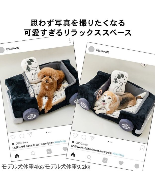 PET PARADISE 【8月中旬お届け予定】スヌーピー マイカーカドラー  （92×60cm） Ｌ 小型犬 ブラック