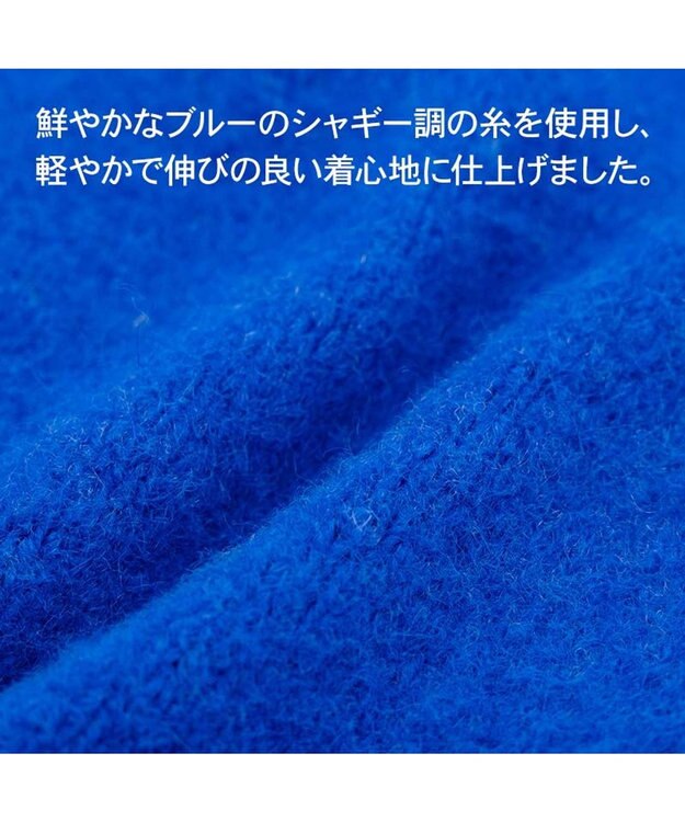 PET PARADISE J.PRESS シャギー風ニット 《ブルー》 小型犬 ブルー