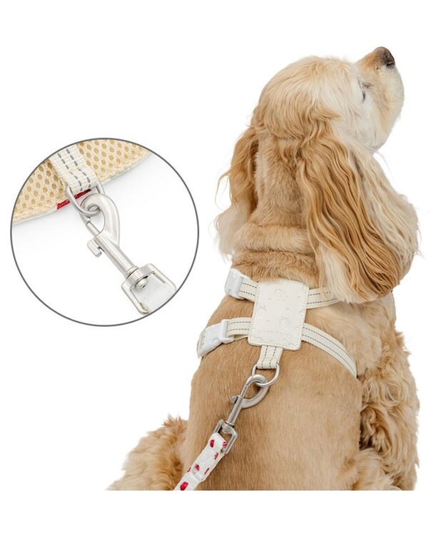 PET PARADISE ペットパラダイス スリム ハーネス＆リード 《苺総柄》 ＳＭ 中型犬 ホワイト