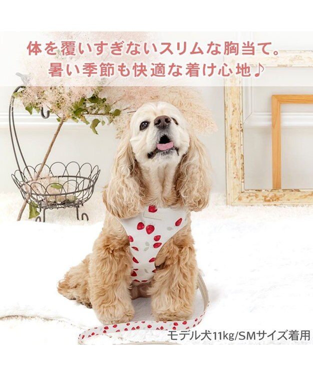 PET PARADISE ペットパラダイス スリム ハーネス＆リード 《苺総柄》 ＳＭ 中型犬 ホワイト