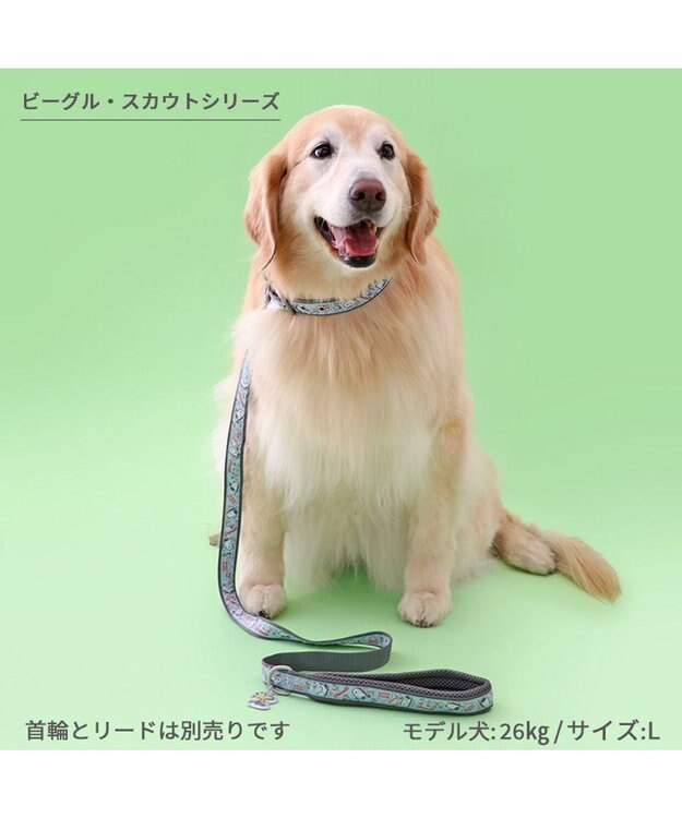 PET PARADISE スヌーピー 首輪 《 ビーグルスカウト》 ＳＭ 中型犬 ビーグルスカウト