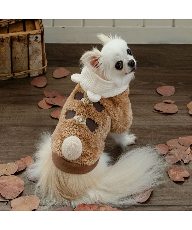 【最終SALE】ペットパラダイス・サイズDSS  3枚 ペットパラダイス ペット 木製ベッド 小型犬 / PET PARADISE