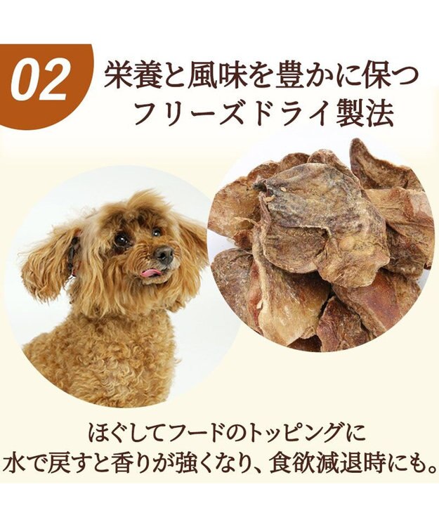 PET PARADISE  フリーズドライ  鶏レバー 40g 国産 -
