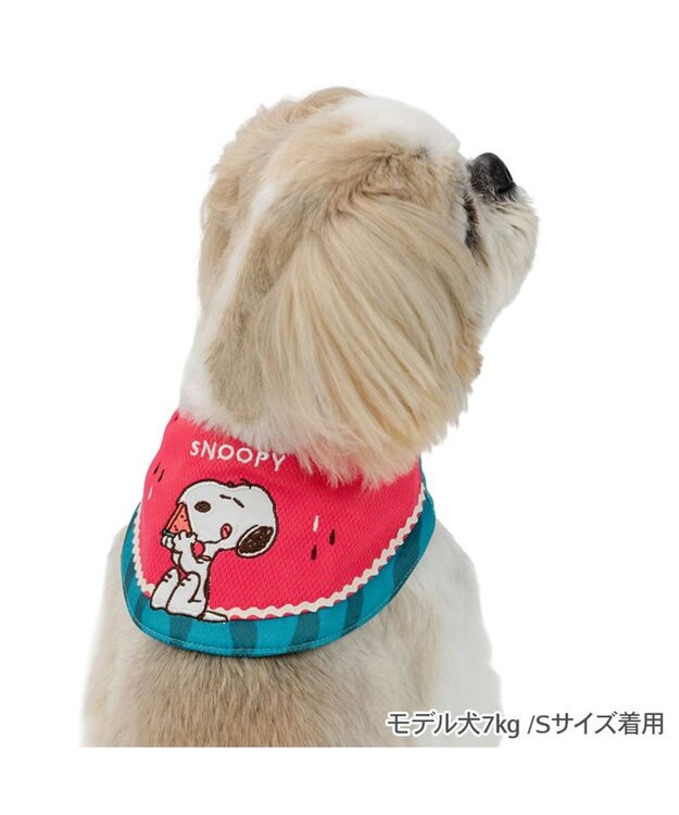 PET PARADISE スヌーピー クールバンダナ 《スイカ柄》 小型犬 レッド