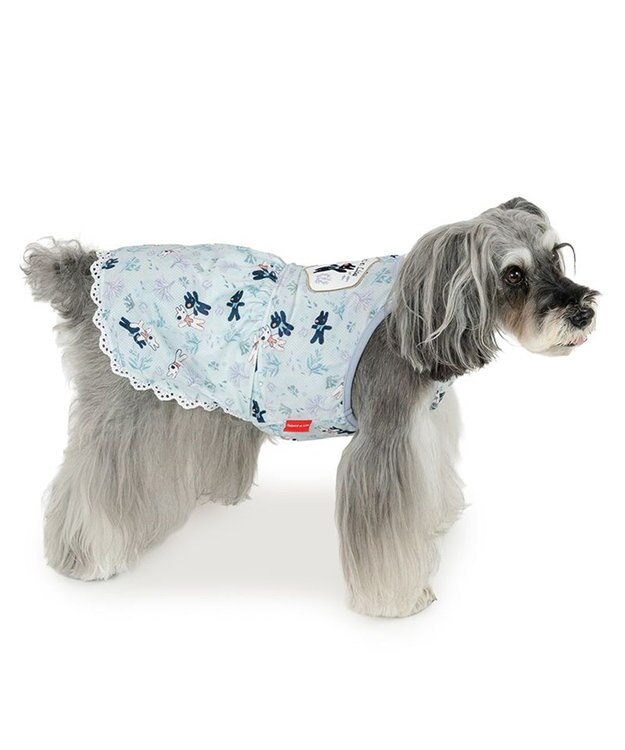 PET PARADISE リサとガスパール 接触冷感  ワンピース 《海草柄》 小型犬 ライトブルー