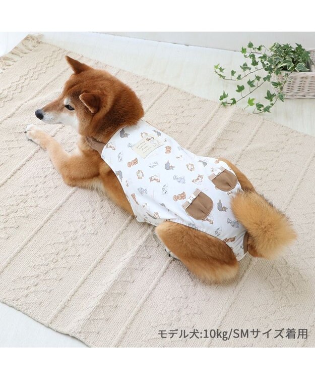 PET PARADISE ペットパラダイス makokoro マナーオール 《わんちゃん柄》 中型犬 わんちゃん柄