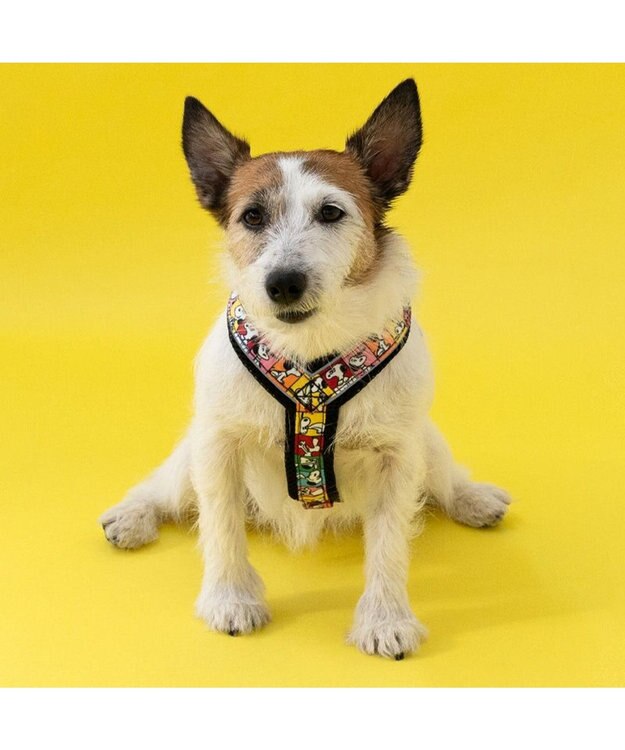 PET PARADISE スヌーピー 75周年 アクティブ ハーネス 小型犬 ３S 75周年柄