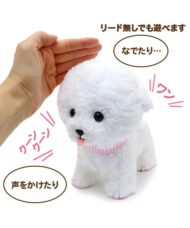 おさりんさま専用 Amazon｜【みのり苑】【お線香】風韻〔ふういん］伽羅 短寸バラ