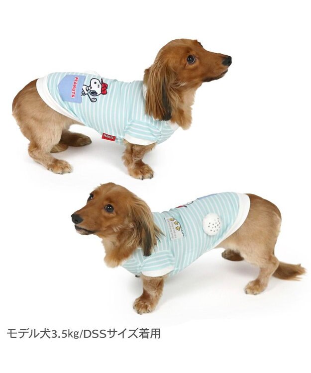 PET PARADISE スヌーピー ゴルファー Ｔシャツ 接触冷感 小型犬 ライトブルー