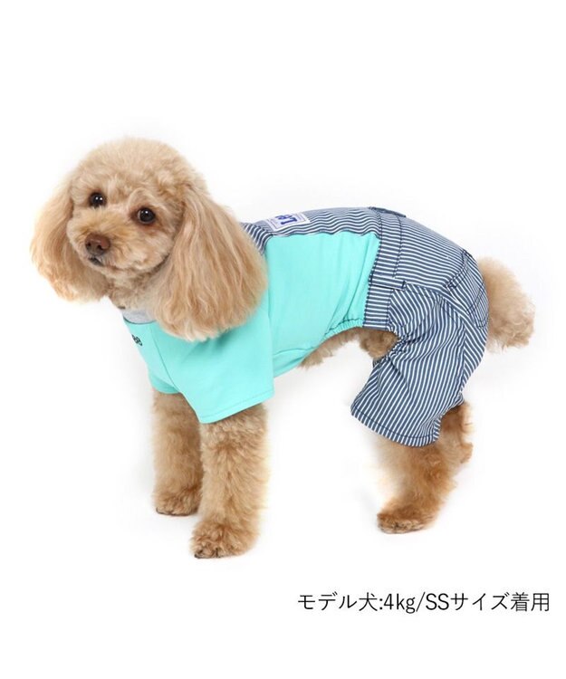 PET PARADISE 犬の服 犬 服 秋冬 Ｌｅｅ パンツ つなぎ 【小型犬】 ヒッコリー 青緑