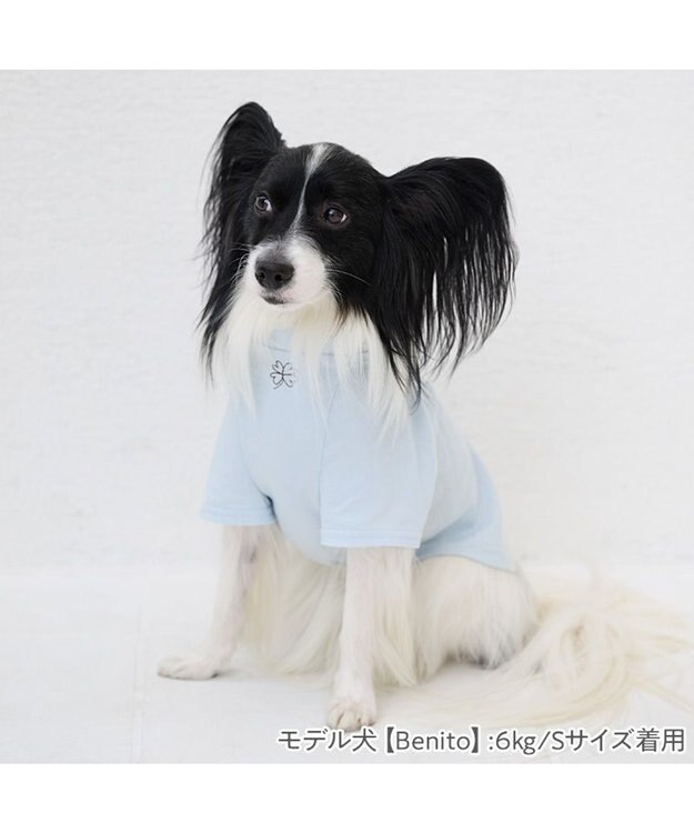 PET PARADISE ペットパラダイス Mai Kuraki　LOVE  ペットTシャツ 《ブルー》 小型犬 ブルー