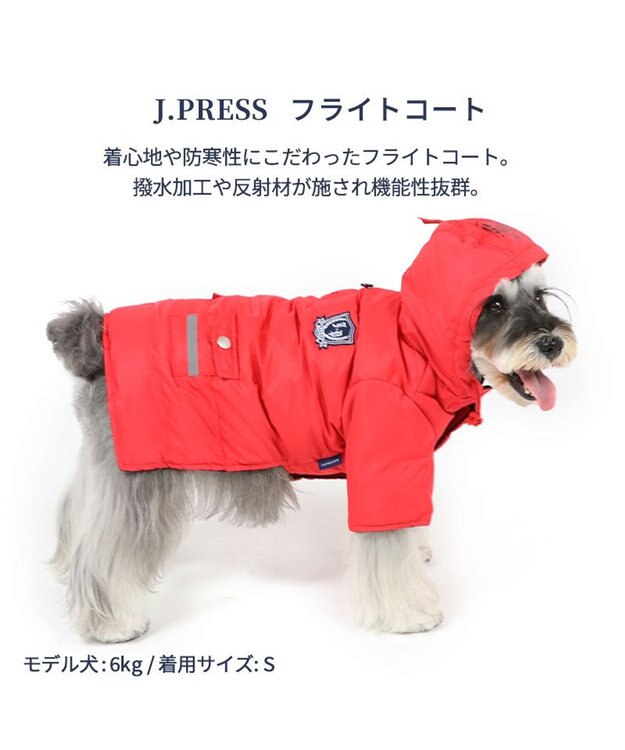 PET PARADISE 犬 服 J.PRESS 綿入り コート 【小型犬】 フライトコート レッド 赤