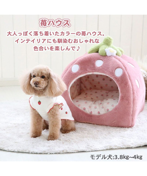 2025年PET PARADISE【女の子】 くすみ苺 ハウス L (45×45×46cm) / PET PARADISE | 【通販】雑貨