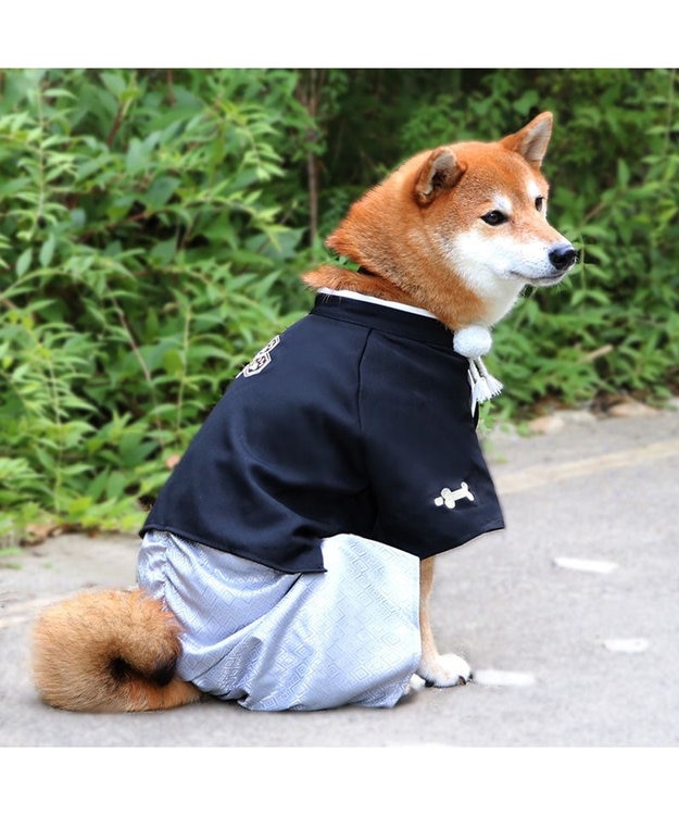 PET PARADISE ペットパラダイス 紋付袴 《シルバー》 中型犬 大型犬 黒