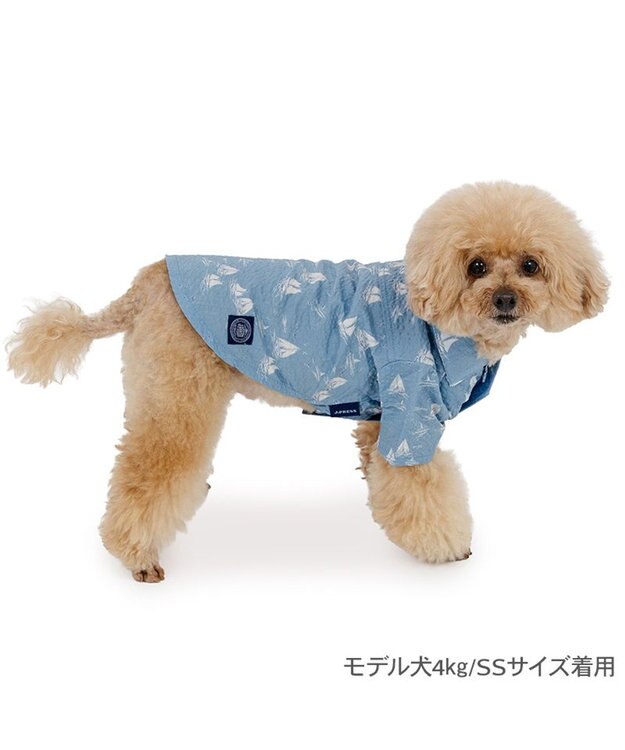 PET PARADISE J.PRESS ウェーブシャツ 《船柄 》 小型犬 ブルー