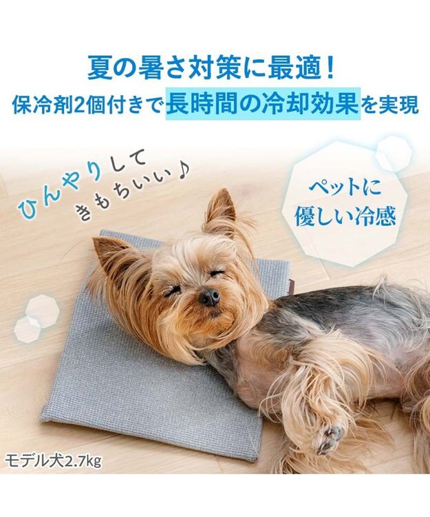 PET PARADISE ペットパラダイス  コンパクトクーラー グレー 2026 グレー