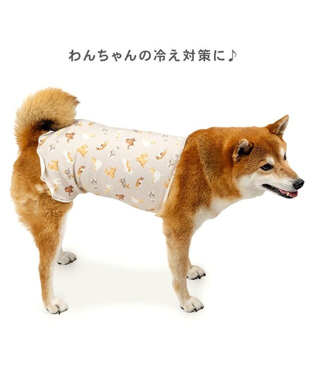 PET PARADISE ペットパラダイス makokoro ペティヒート 腹巻 《犬柄》 中型犬 大型犬 グレイッシュベージュ