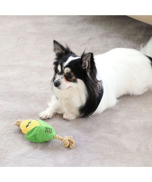 PET PARADISE 犬用品 ペットグッズ 犬 おもちゃ ペットパラダイス 犬 トイ TOY 焼きもろこし おもちゃ | 音が鳴る ぬいぐるみ ボール ロープ オモチャ 玩具 トイ TOY 小型犬 猫 かわいい おもしろ インスタ映え 黄