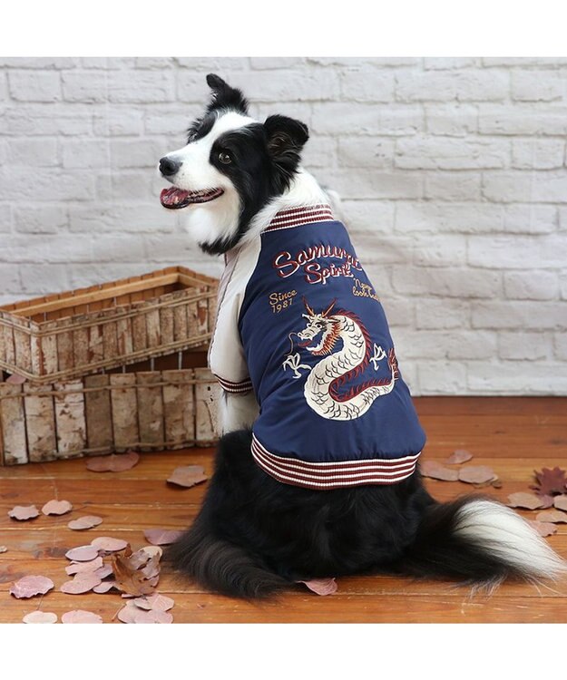 PET PARADISE ペットパラダイス 遠赤外線 スカジャン 《龍》 中型犬 大型犬 ネイビー